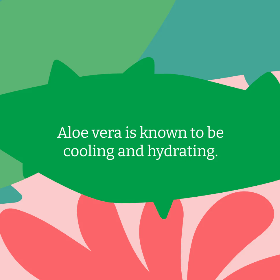 Aloe Vera Body Wash - 400ml - Image 5