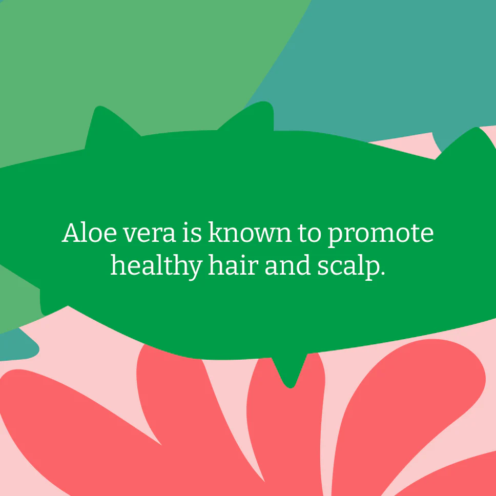 Aloe Vera Shampoo - 400ml - Image 4