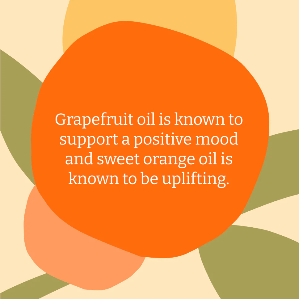 Grapefruit & Orange Body Wash 2.5L With Aluminium Refill Bottle - Image 5