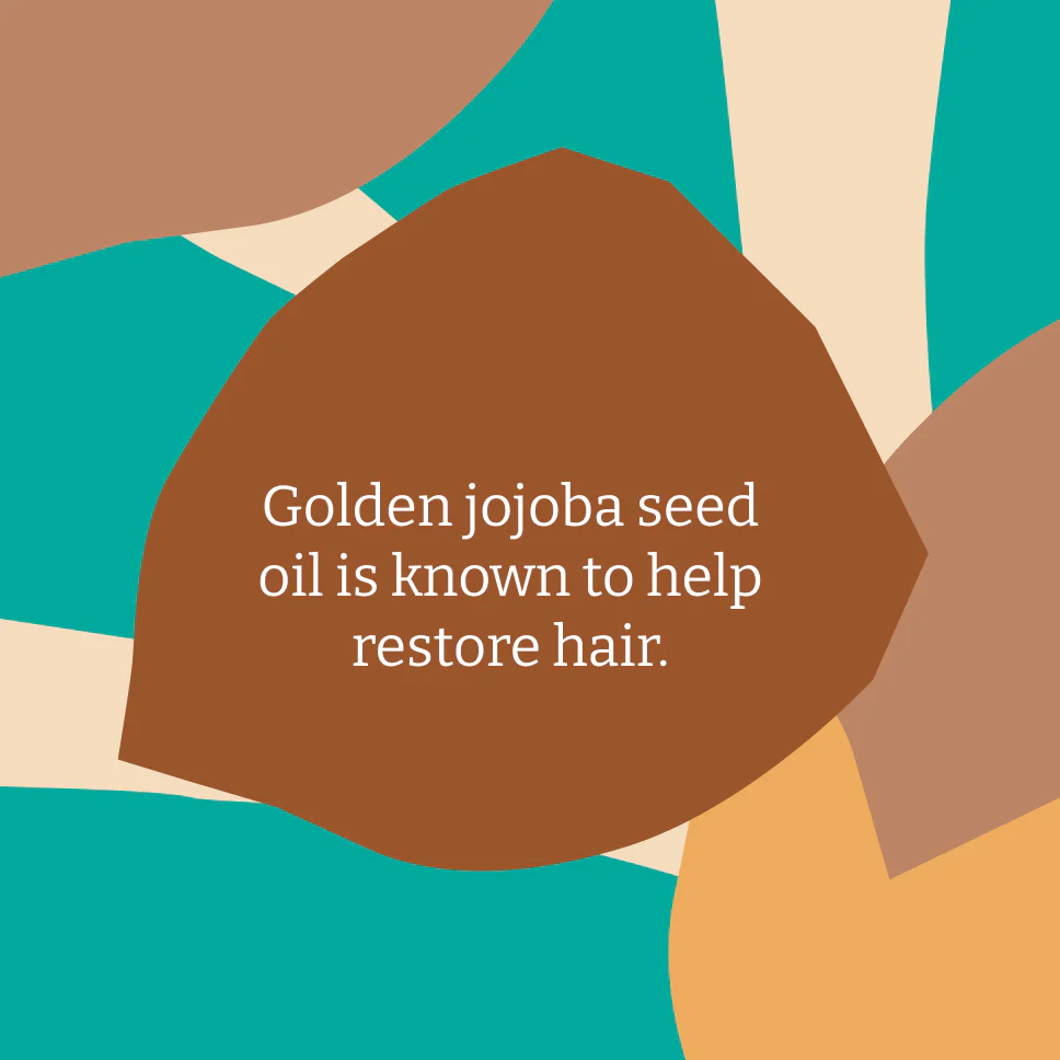 Jojoba Shampoo & Conditioner Set - Image 3