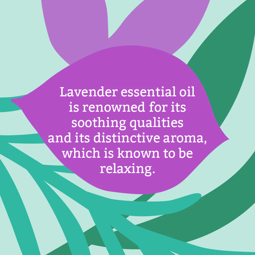 3 x Lavender Soap Bars - Image 5