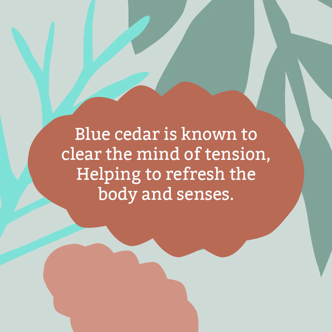Blue Cedar Soap Bar - Image 4