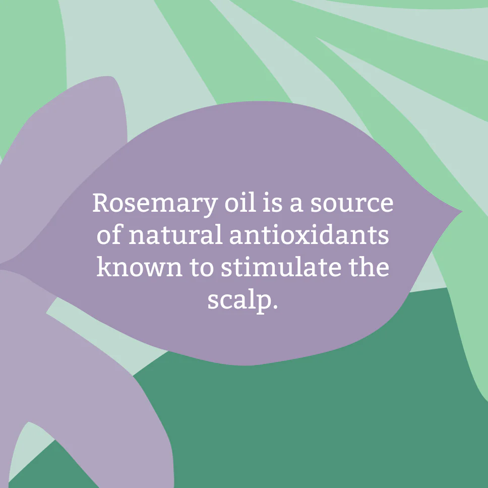 Rosemary 1L Haircare Set - Image 3