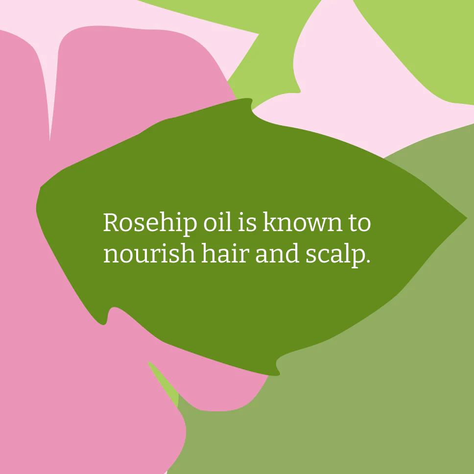 Wild Rose Shampoo - 5L - Image 5